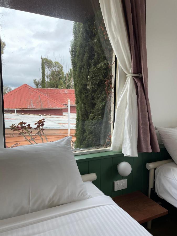 The Albion Motel كاسلمين المظهر الخارجي الصورة